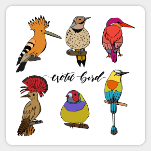 Exotic Bird Hand Drawn Sticker